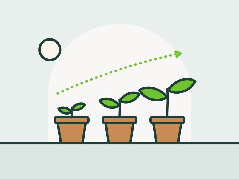 Illustration of seedlings growing taller in a row of pots